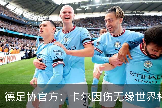 德足协官方：卡尔因伤无缘世界杯，征召韦德拉奥果入替
