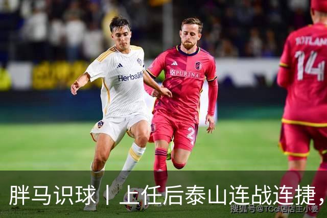 胖马识球丨上任后泰山连战连捷，唐田做对了什么？