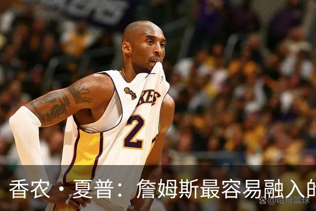 香农·夏普：詹姆斯最容易融入的球队是勇士 那里能拉开空间